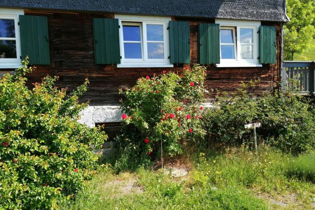 Allgaeu Apartment Rose Im Og Grunenbach 외부 사진